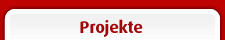 Projekte